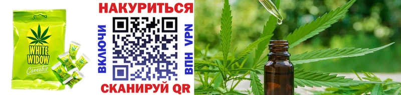 дарнет шоп  Новомичуринск  Cannafood конопля 