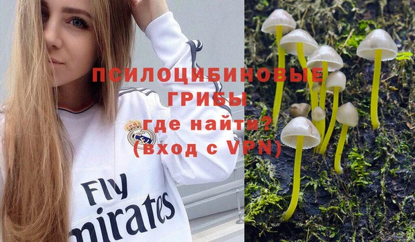 альфа пвп Бугульма