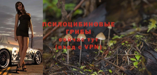 мяу мяу кристалл Бородино